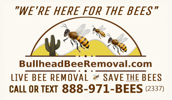 Bee Colony removal and relocations by Bullhead Bee Removal